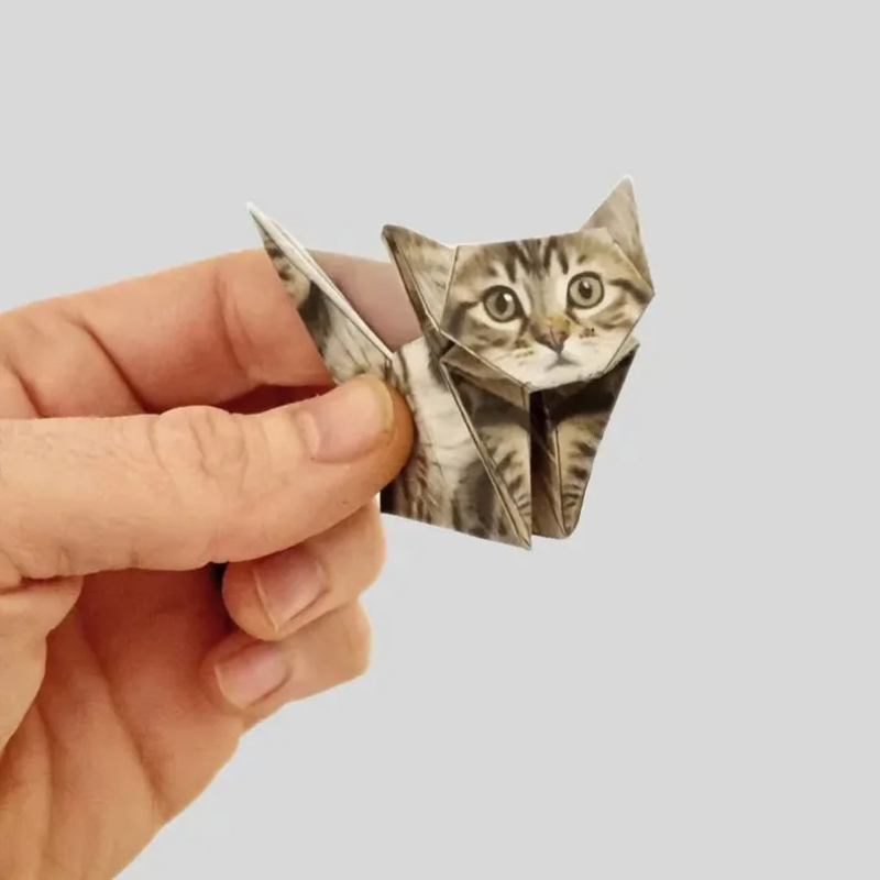 Creative DIY Paper Cats 50 She - огляд і ціна Art Craft Dinosaurs