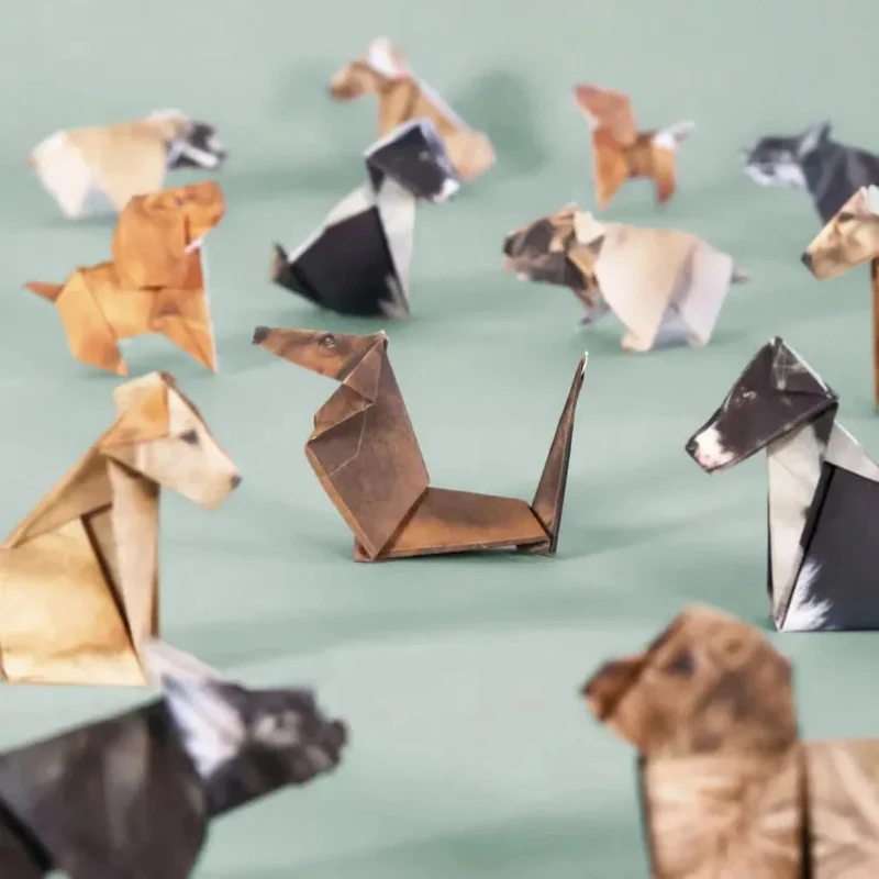 Creative DIY Paper Cats 50 She - огляд і ціна Art Craft Dinosaurs
