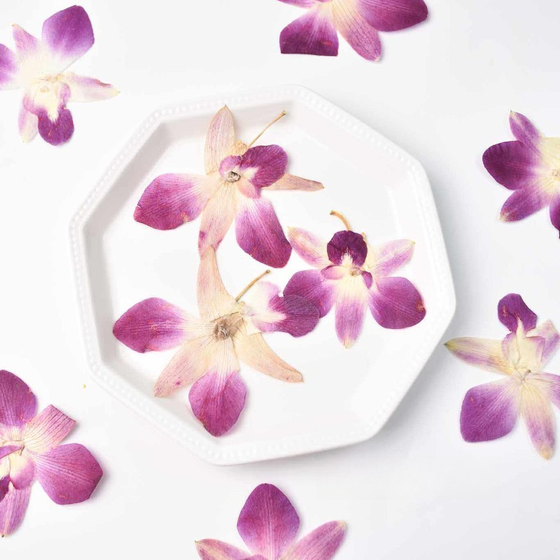 4pcs,Real Pressed Butterfly Or - огляд і ціна Art And Craft Photos