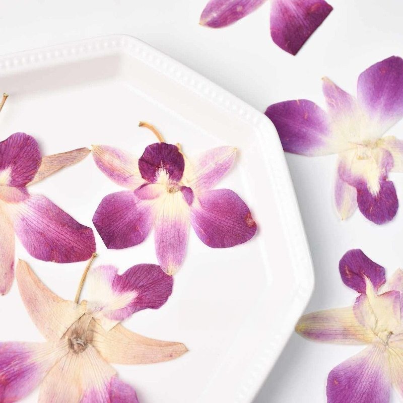 4pcs,Real Pressed Butterfly Or - огляд і ціна Art And Craft Photos