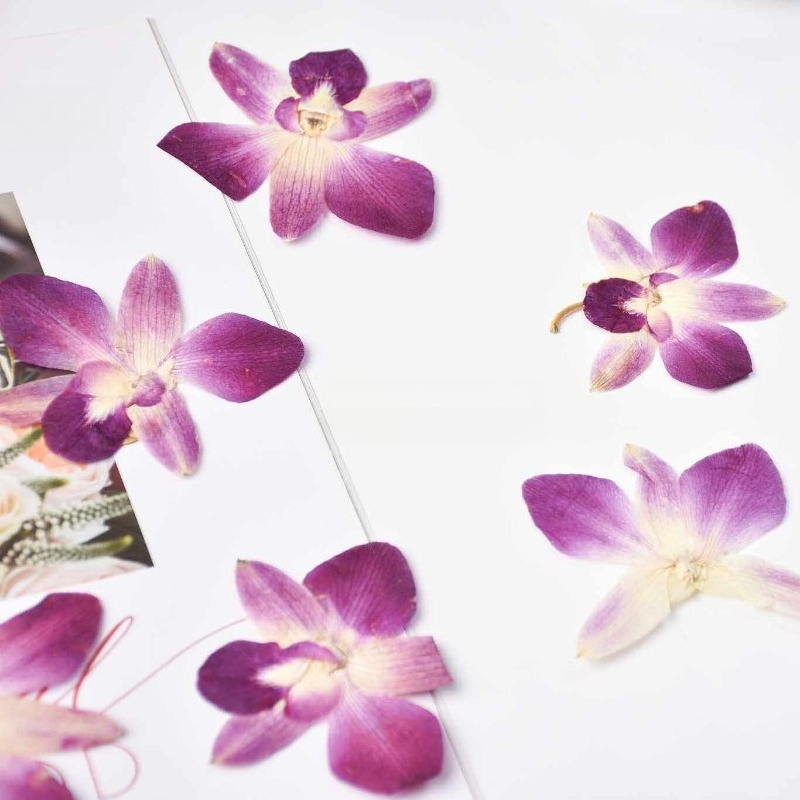4pcs,Real Pressed Butterfly Or - огляд і ціна Art And Craft Photos