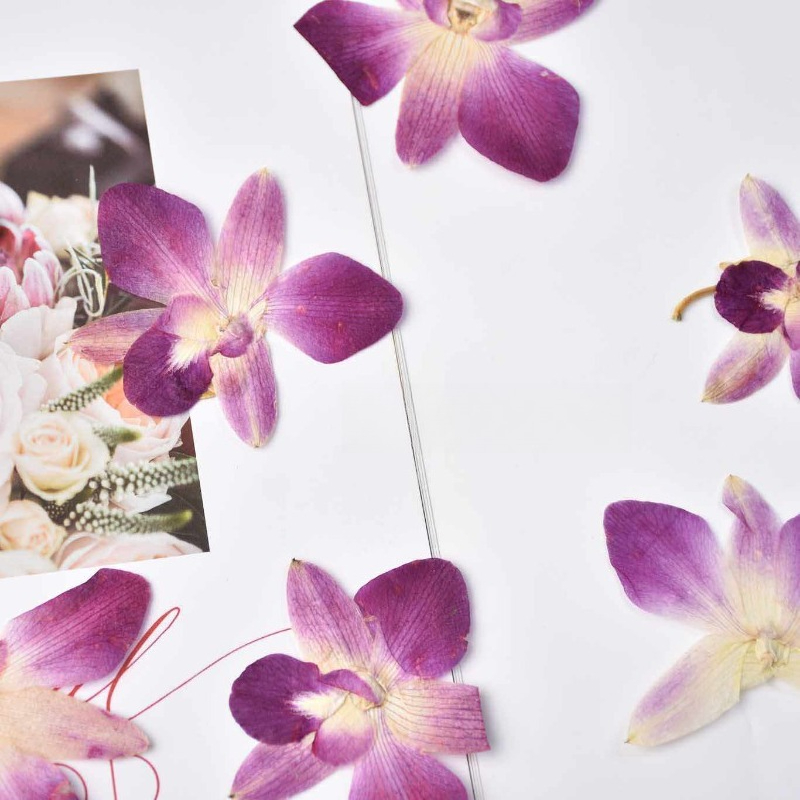 4pcs,Real Pressed Butterfly Or - огляд і ціна Art And Craft Photos
