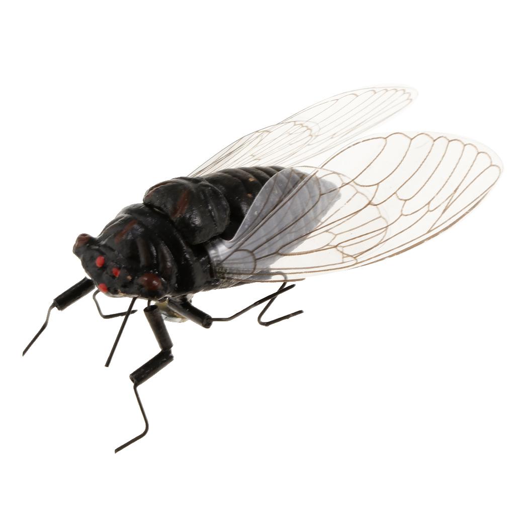2X Clay Insect Model Fridge Ma - огляд і ціна Art Craft Clay