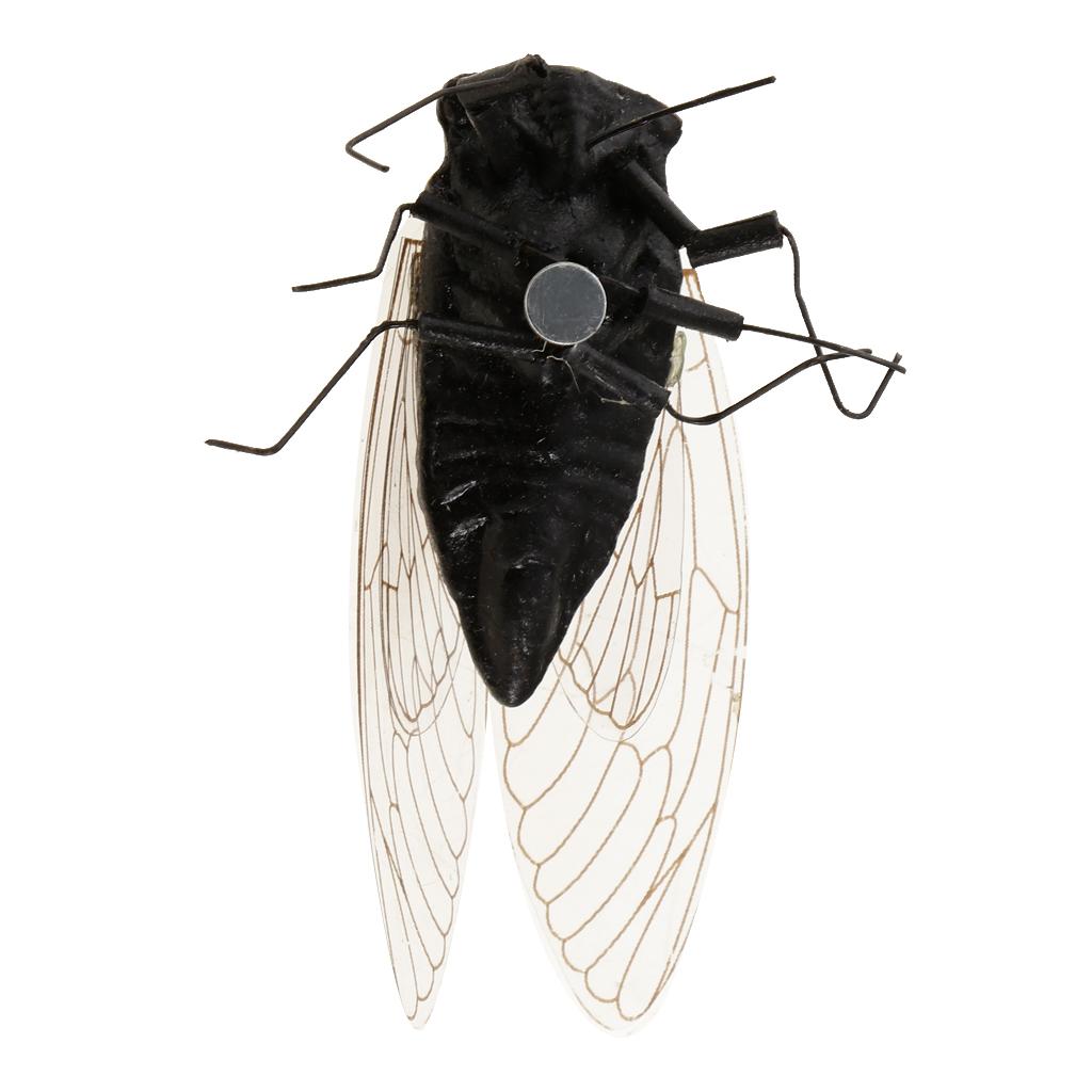 2X Clay Insect Model Fridge Ma - огляд і ціна Art Craft Clay